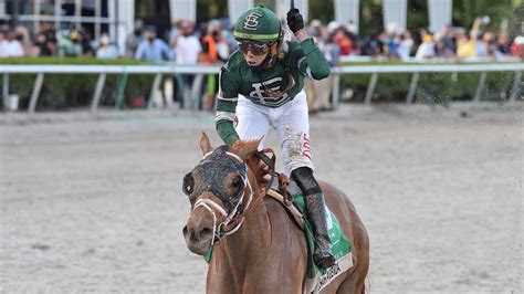drf free past performances|Past Performances .